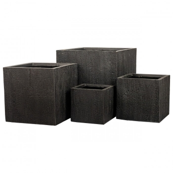 Set de oale QUATRO